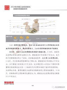 赛迪智库 中国工业和信息化发展形势展望 附pdf